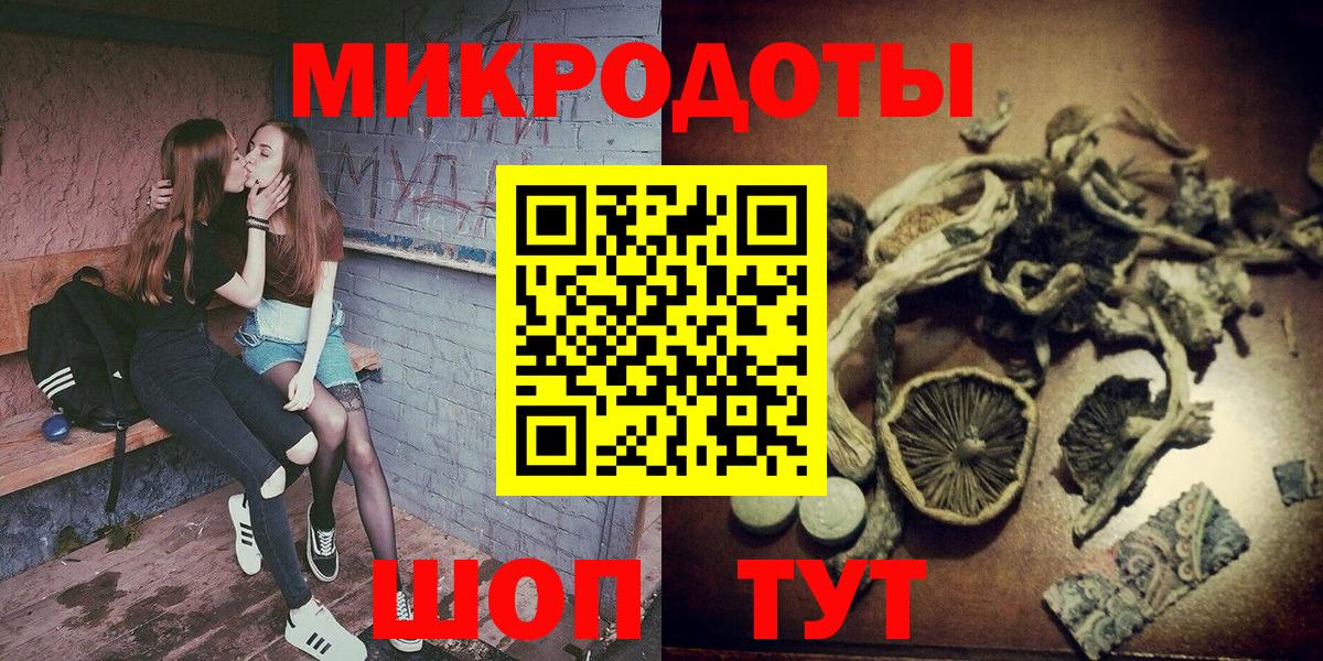 Псилоцибиновые грибы Cubensis  купить наркоту  Новодвинск  Вход с VPN 