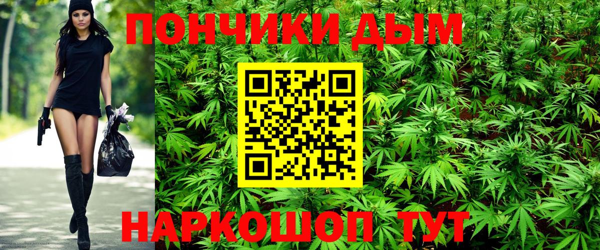 Конопля Ganja Новодвинск